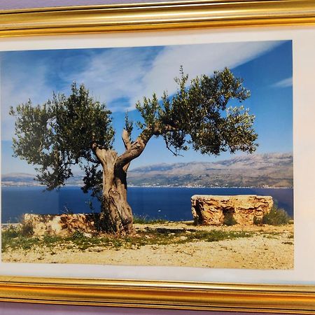 Olive Tree City Apartment Zagabria Esterno foto