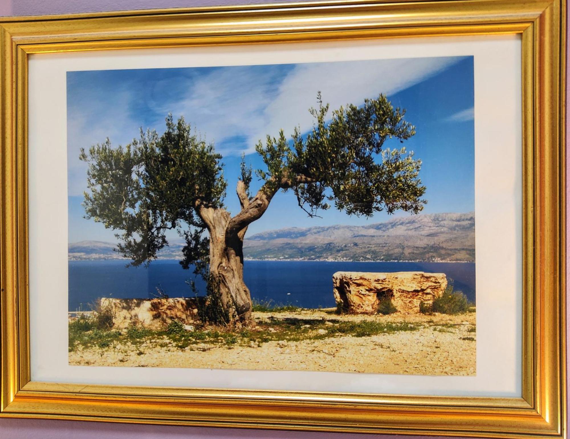 Olive Tree City Apartment Zagabria Esterno foto